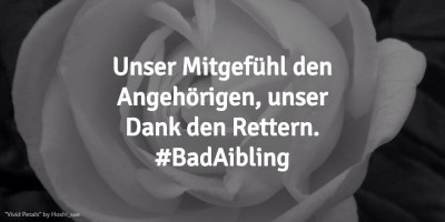 #BadAibling 02.2016